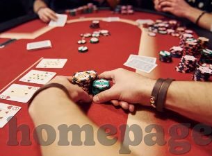 森林下载 舞会手机版-森林舞会手机版，连接自然与娱乐的桥梁